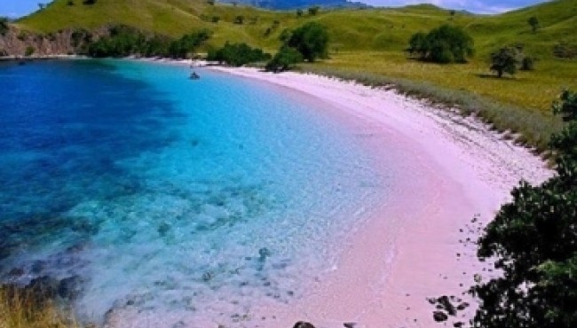 Top 10 Wonderful Pink Beaches in the World