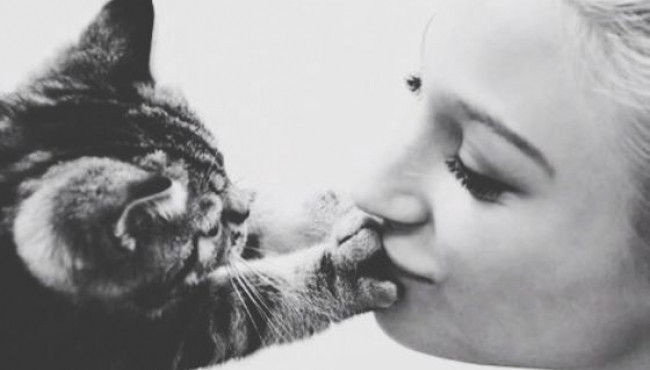 17 Reasons Having a Kitten Is Better Than Having A Boyfriend