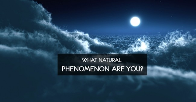 What Natural Phenomenon Are You?